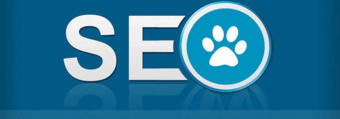 老站排名优化（权重提升方法、优化技巧全解析）