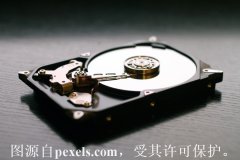 免费域名com注册