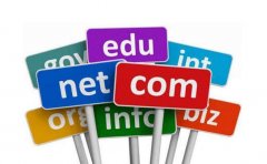 域名注册的原则一般是