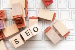 企业应该选择网站排名优化还是seo教程_