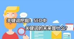 网站优化技巧需掌握网站挖掘技巧方法！