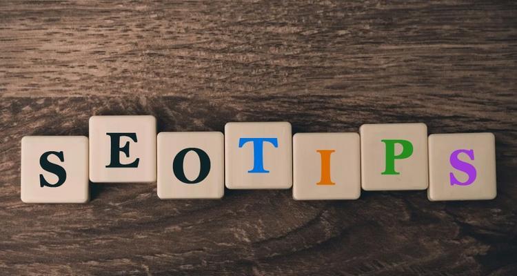 SEO快速排名软件到底是什么(SEO快速排名软件) SEO快速排名软件到底是什么(SEO快速排名软件)