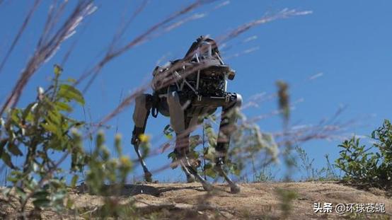 狗,最适应崎岖地形的机器人!美军弃用,中国却方兴未艾
